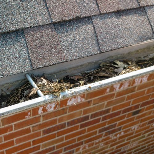 Dakgoot schoonmaken Oosterhout